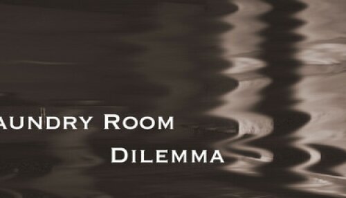 Download Laundry Room Dilemma