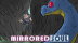Download Mirrored Soul