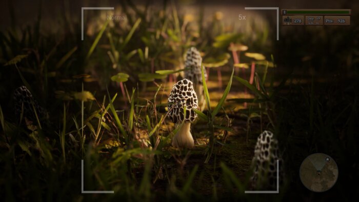 Morels: The Hunt Download Free