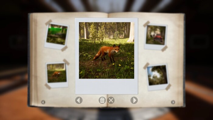 Morels: The Hunt Free Download Torrent