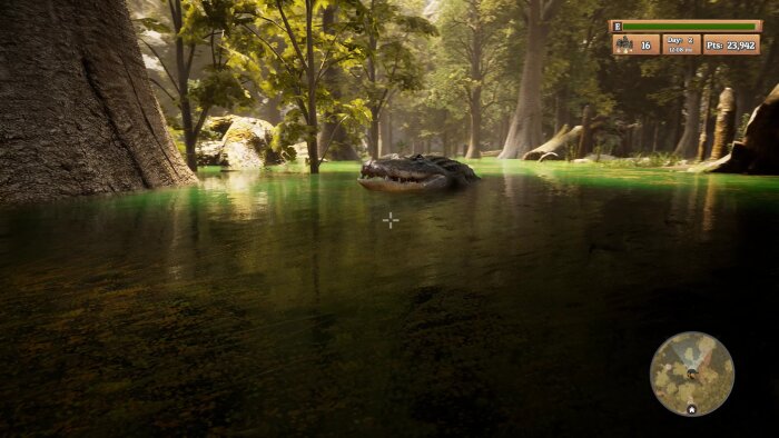 Morels: The Hunt PC Crack