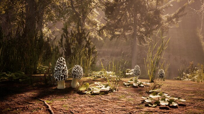 Morels: The Hunt Repack Download