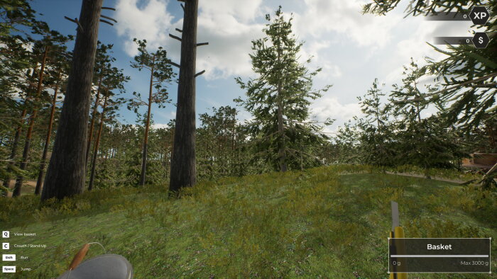 Mushroom Hunter World Download Free