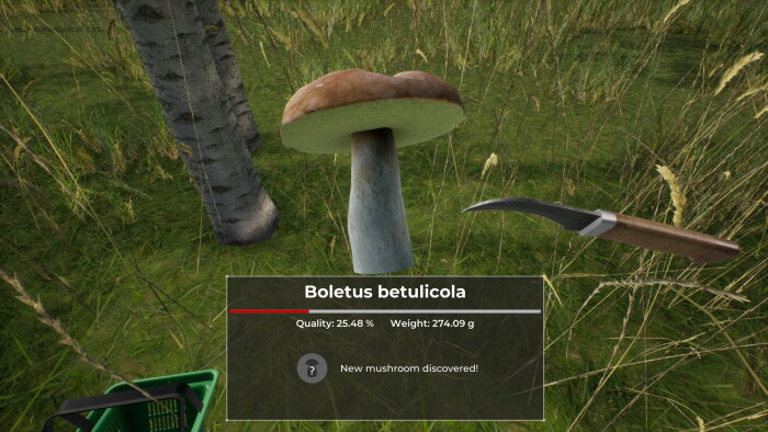 Mushroom Hunter World Free Download Torrent