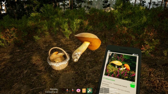 Mushroom Season Crack Download