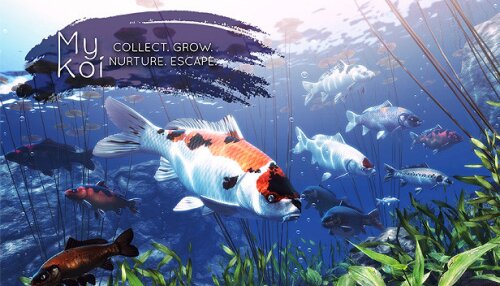 Download My Koi
