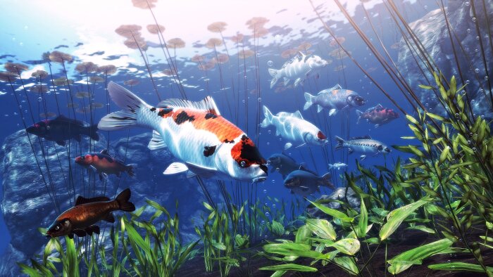 My Koi Download Free