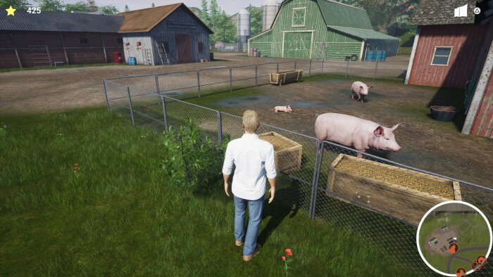 My Life: Farm Vet Download Free