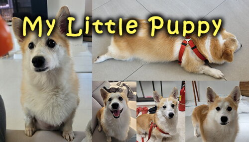 Download My Little Puppy