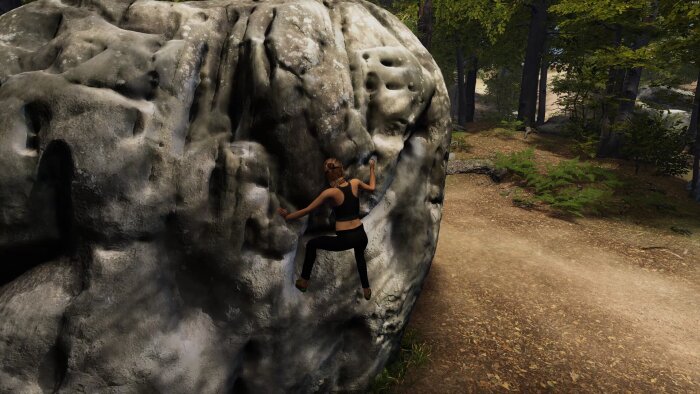 New Heights: Realistic Climbing and Bouldering PC Crack