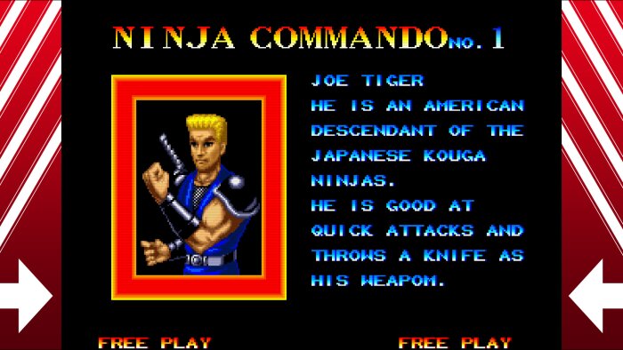 NINJA COMMANDO PC Crack