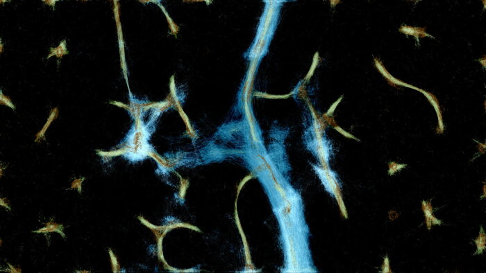 PHYSARUM: Slime Mold Simulator Repack Download