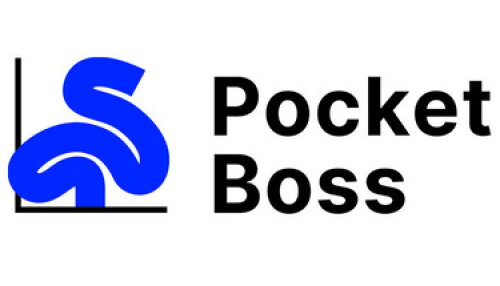 Download Pocket Boss