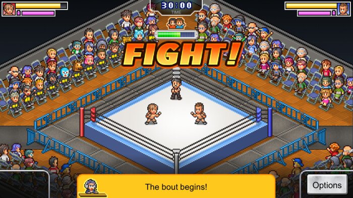 Pro Wrestler Story Free Download Torrent