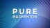 Download Pure Badminton