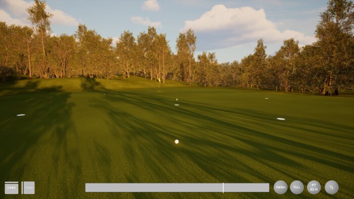 Pure Golf Crack Download