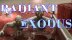 Download Radiant Exodus