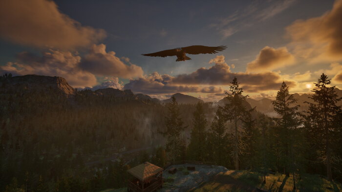 Ranger’s Path: National Park Simulator Download Free