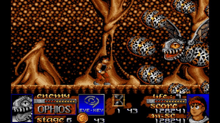 Risky Woods Download Free