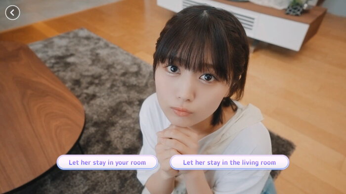 Roommates, Romance, and Ringing Hearts PC Crack