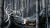 Download Samorost 2