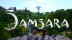 Download Samsara