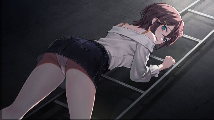 Sentimental Death Loop Crack Download