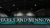 Download Sharks and Minnows