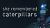 Download She Remembered Caterpillars