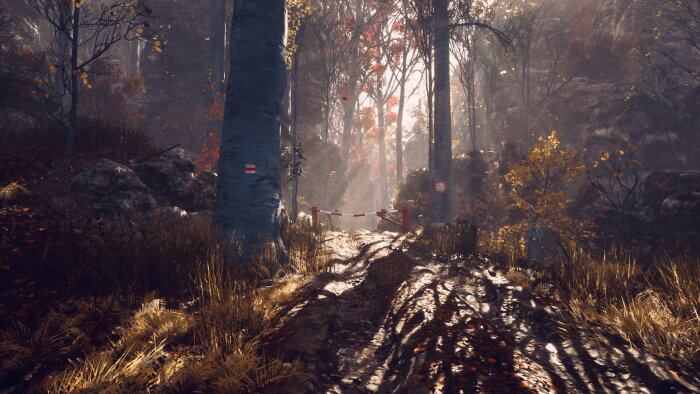 Someday You'll Return Download Free