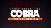 Download Space Adventure Cobra - The Awakening