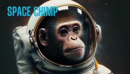 Download Space Chimp