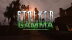 Download S.T.A.L.K.E.R. G.A.M.M.A. (GOG)