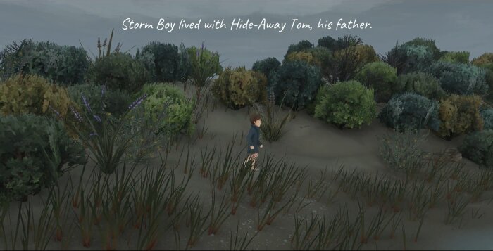 Storm Boy Free Download Torrent