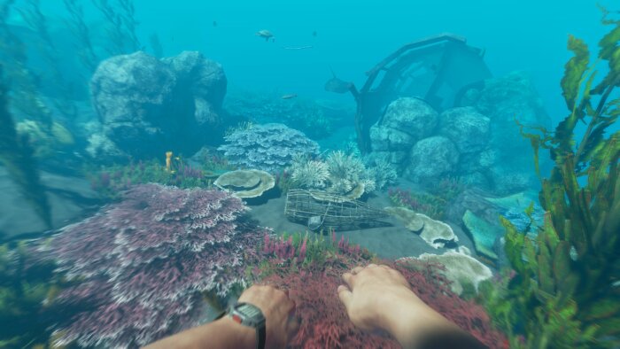 Stranded Deep Crack Download