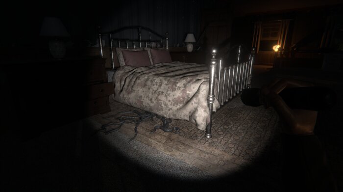 The Echo Paradox Repack Download