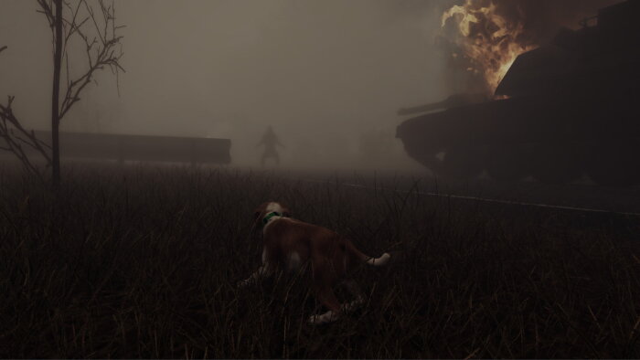 The Good Dog: Chasing Shadows Crack Download