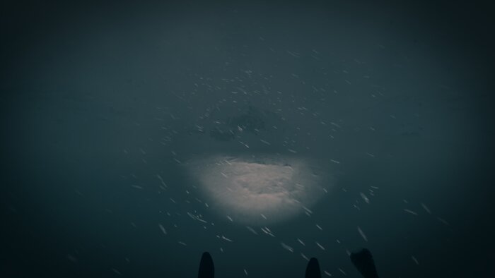 The Last Ski Trip PC Crack
