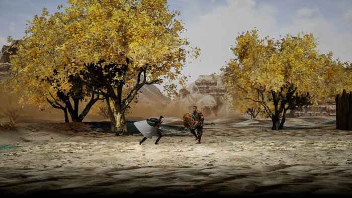 the Shadow of Swallow PC Crack