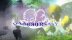 Download The Summoner's Sky