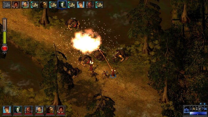 The Temple of Elemental Evil Crack Download