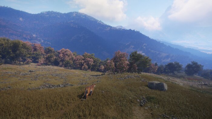 theHunter: Call of the Wild™ - Sundarpatan Nepal Hunting Reserve PC Crack