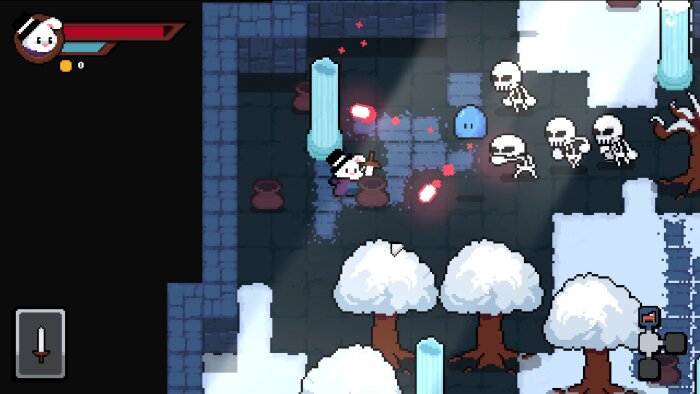 Toroom Download Free