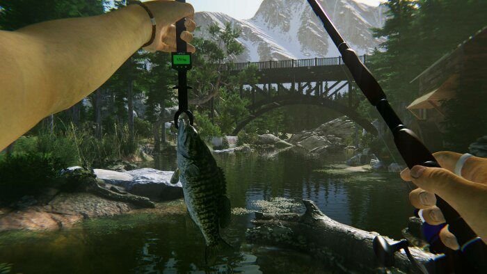 Ultimate Fishing Simulator 2 Crack Download