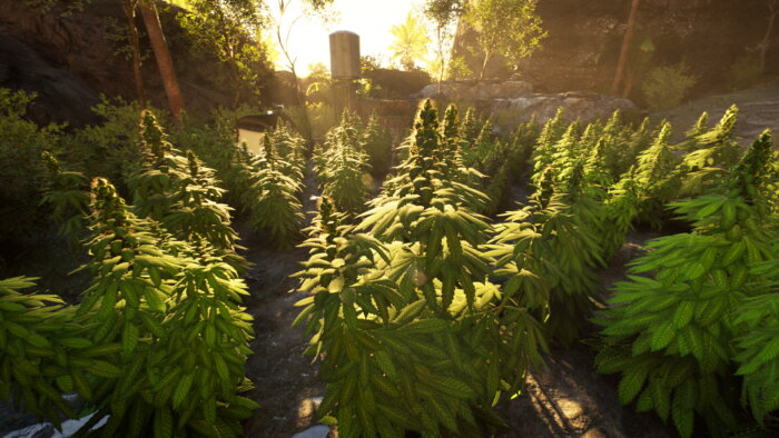 Weed Shop 4: Highland PC Crack