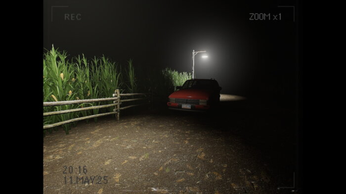 What Happened to Lily? Download Free