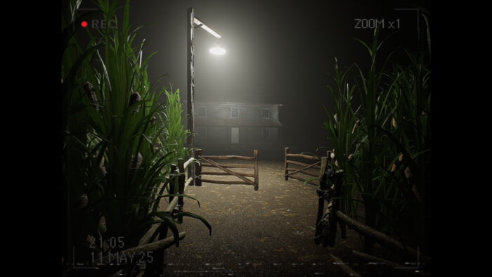 What Happened to Lily? Free Download Torrent