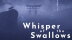 Download Whisper of the Swallows