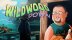 Download Wildwood Down