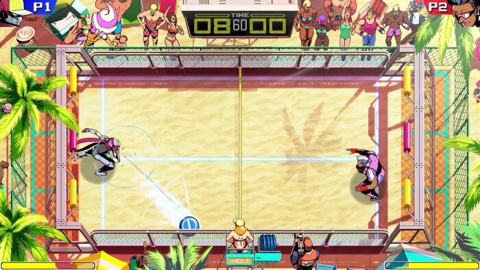 Windjammers 2 Crack Download